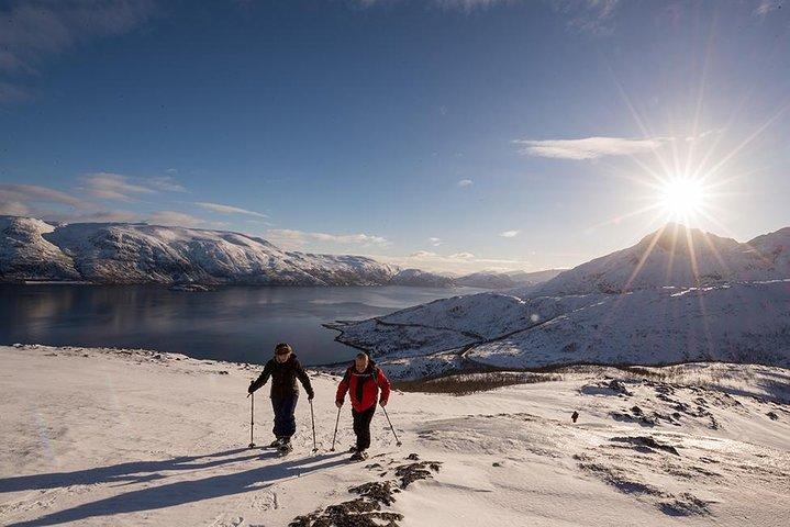Tromso Snowshoeing - Valley, Fjord Views, Wildlife, Meal & Pickup