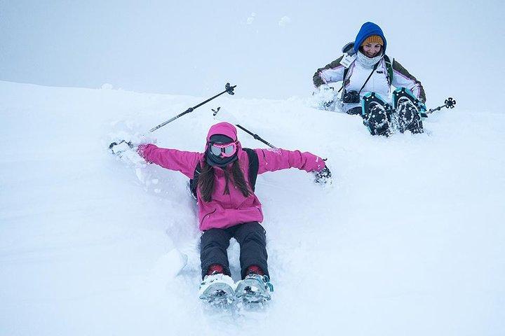 Tromso Snowshoeing - Valley, Fjord Views, Wildlife, Meal & Pickup