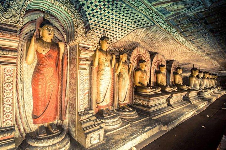 2 Day Tour to Sigiriya & Minneriya safari From Colombo