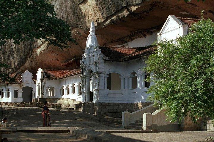 2 Day Tour to Sigiriya & Minneriya safari From Colombo