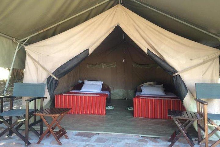 7 Days Kenya Tented Camp Wildlife Safari