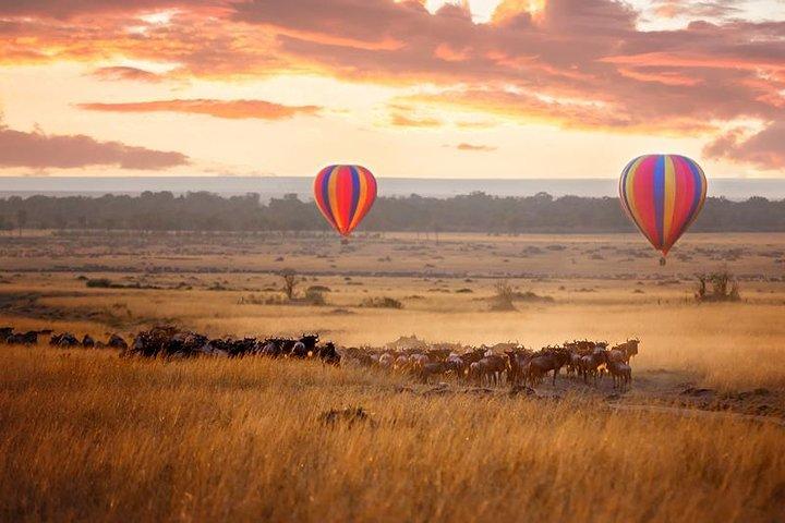 5 Days Kenya Lodge Safari Aberdare, Lake Nakuru And Masai Mara