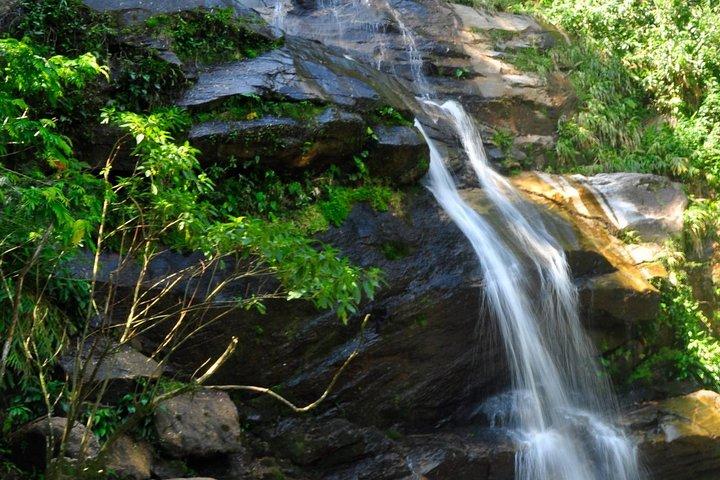 Tijuca Forest + Botanical Garden + Lage Park - by Alan Denis