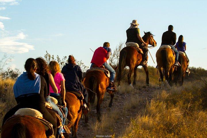 Sunset Horseback Riding
