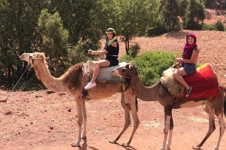Quad Biking and Camel Ride Guided Day Trip from Marrakech