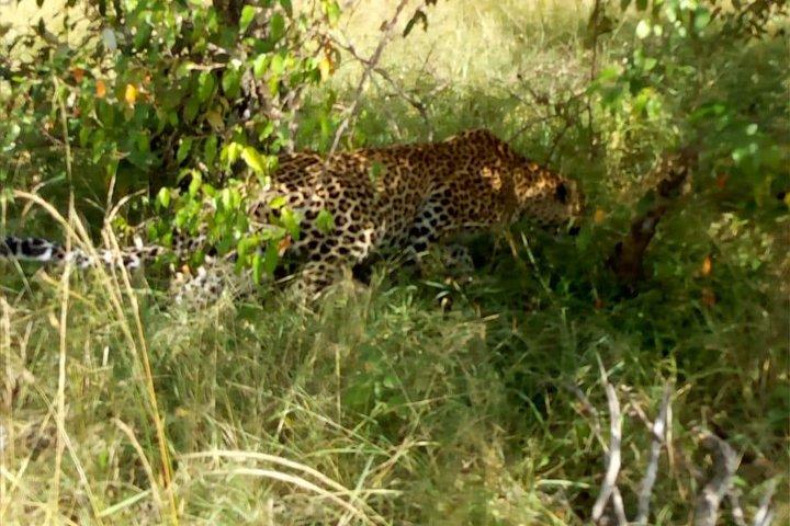 Private Overnight Safari To Maasai Mara