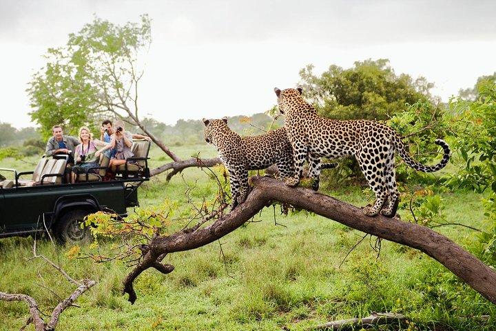 Wild Wonders Of Sri Lanka | 7 Days