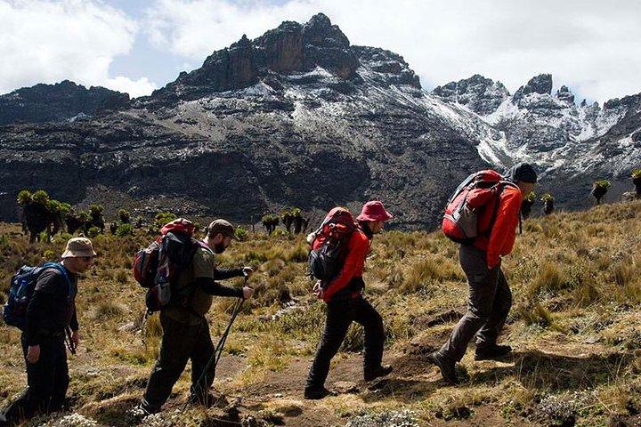 6 Days Mount Kenya Hiking Expedition Safari