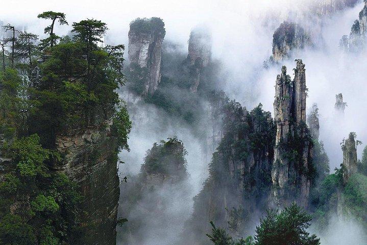1-Day Private Tour to ZJJ National Forest Park & Avatar Mountain