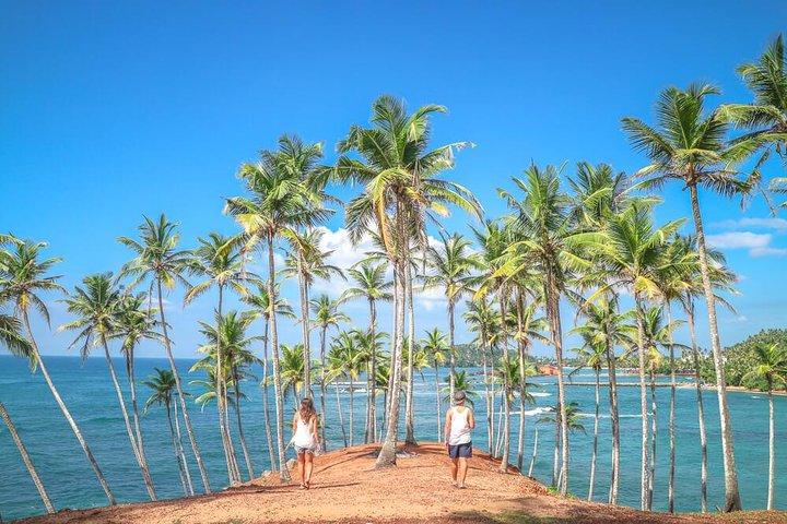 Wild Wonders Of Sri Lanka | 7 Days