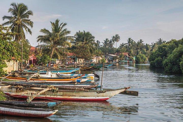 Negombo City And Fishing Village Private Day Tour From Colombo