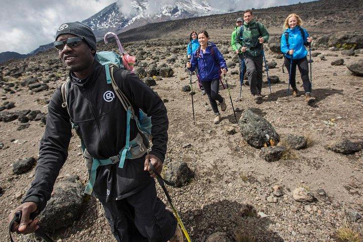 8 Days Mount Kilimanjaro Climbing- Machame Route