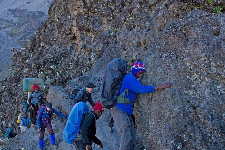 10 Days Mount Kilimanjaro Climbing Through Lemosho Route