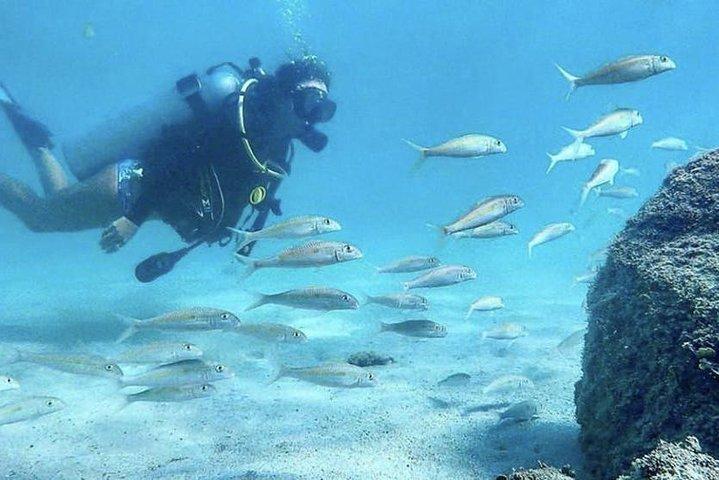 Voted Honolulu's #1 Beginner Scuba Diving + Free Videos Tour