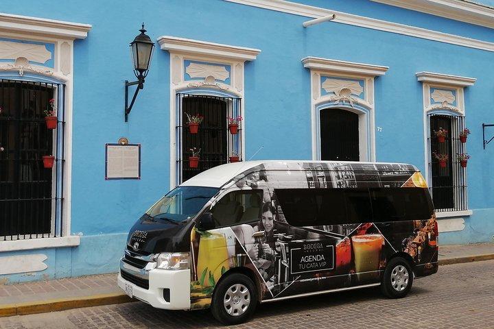 Great Experience With A Tour Guide With Spark