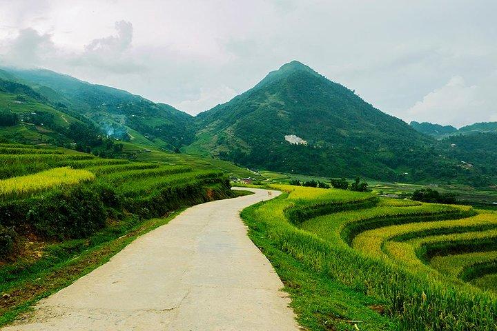 Sapa Easy Trekking Tour 1 Day - Rice Paddies and Cultures