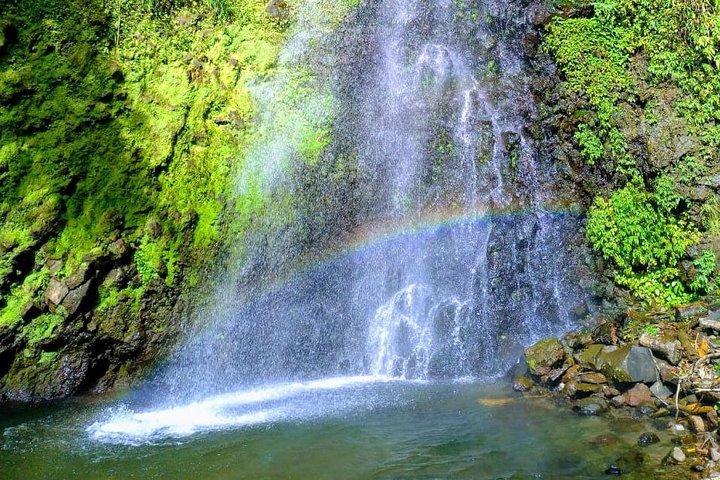 Dark View Waterfall and Beach Tour