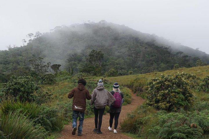 Horton Plains National park in Nuwara eliya