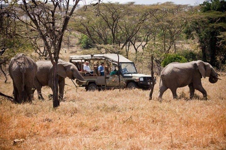 9 Days Kenya Family Safari Holiday Packages