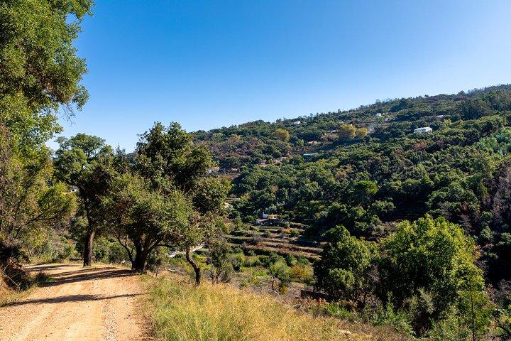Jeep Safari #1 in Algarve