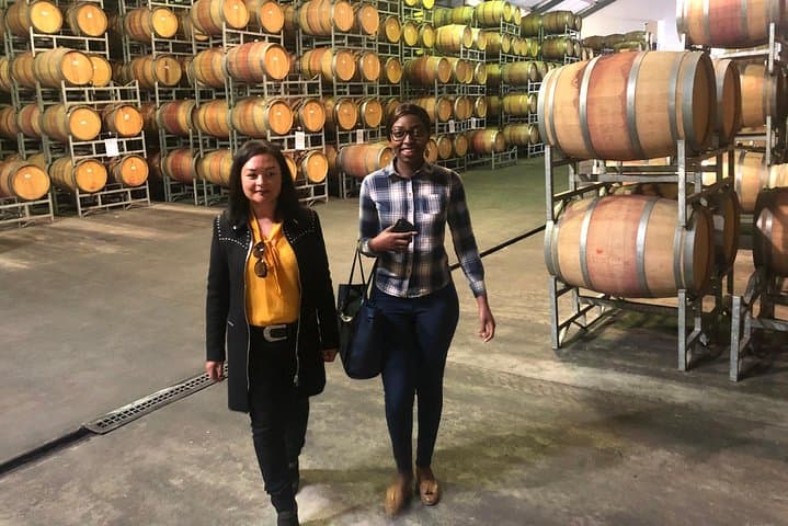 Wine Tasting Private Tour through Durbanville Winelands