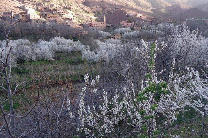 Atlas Mountains and 4 Valleys and Waterfall Day Trip From Marrakech