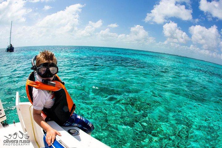 Hol Chan Marine Reserve Snorkel Tour on the 40' Sirena Azul Sailboat