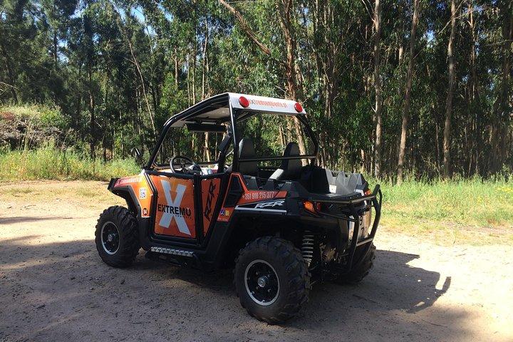 Sintra RZR Buggy tours