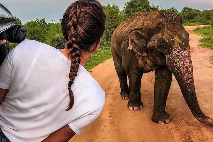 Best Of Sri lanka Tour (06 Days 05 Nights) - Kandy- N.Eliya -Bentota-Colombo