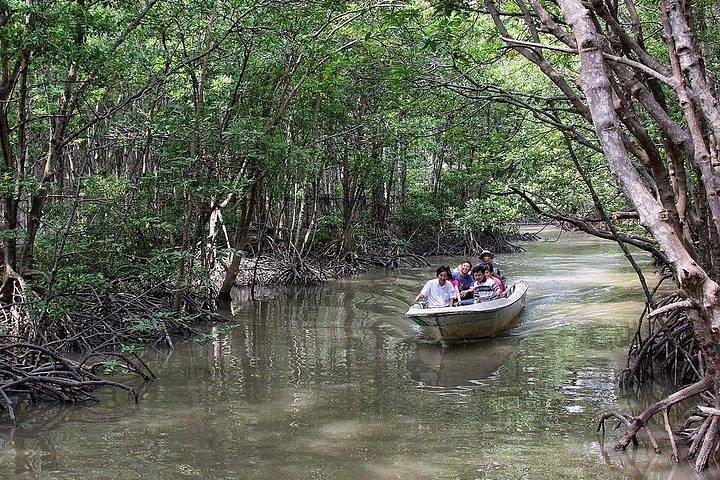 Wild Adventure: Private Can Gio Eco-Tour & Wildlife