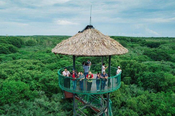 Wild Adventure: Private Can Gio Eco-Tour & Wildlife