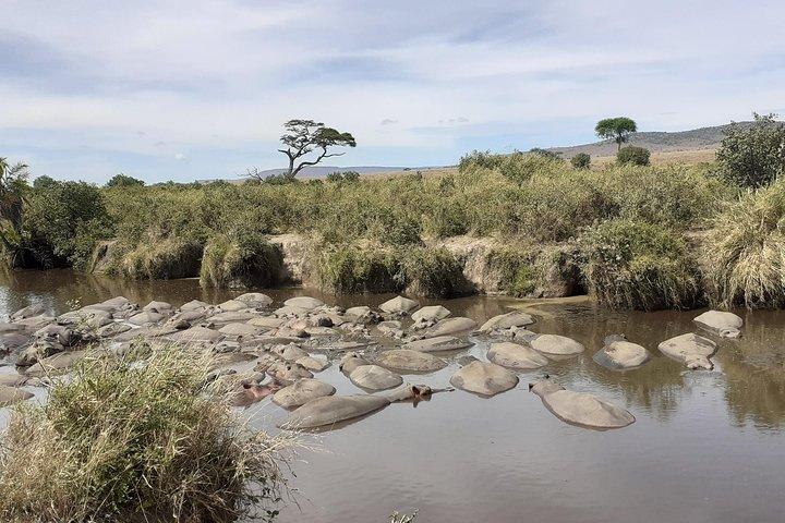 SERENGETI NATIONAL PARK Tour