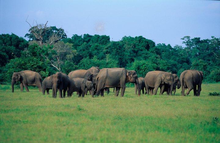 Nature & Wildlife - 10 Days Tour