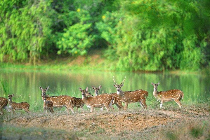 Nature & Wildlife - 10 Days Tour