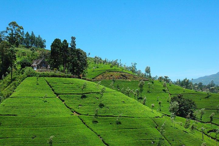Nature & Wildlife - 10 Days Tour