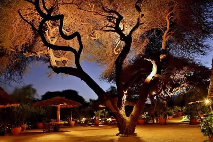 3 Days Camping Safari in Amboseli National Park, Kenya