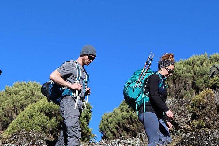 7 Days Mount Kilimanjaro Climbing- Umbwe Route