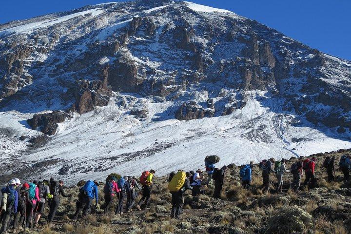 7 Days Mount Kilimanjaro Hiking- Rongai Route