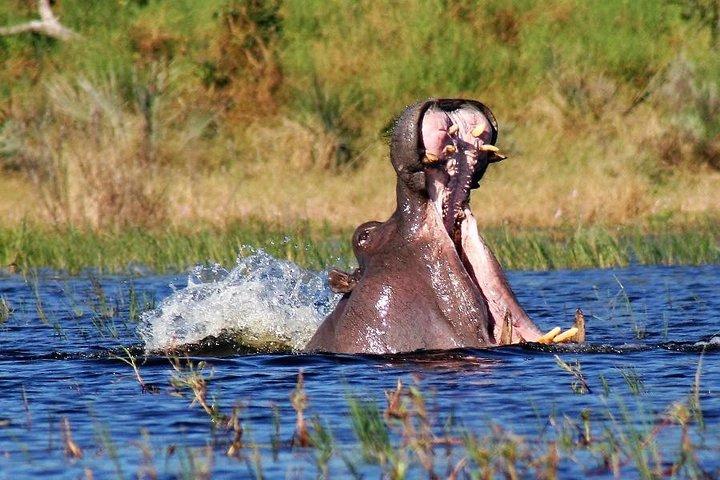 4 Days Holiday Safari in Kenya