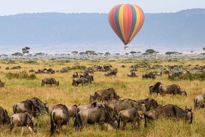 13 Days Kenya Tanzania Wildlife Safari