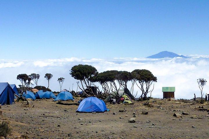 7 Days Mount Kilimanjaro- Marangu Route
