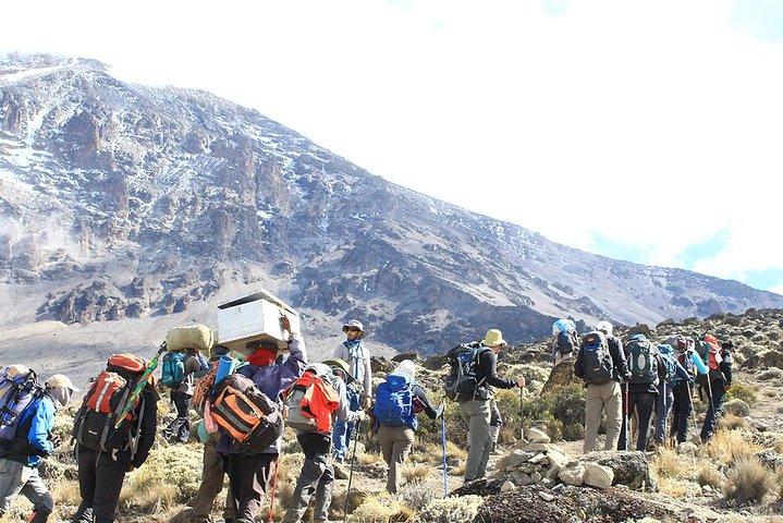 7 Days Mount Kilimanjaro Trekking through Umbwe Route