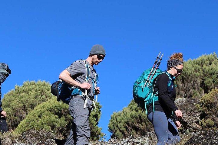 7 Days Mount Kilimanjaro Trekking through Umbwe Route