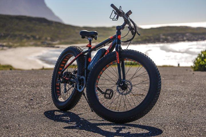 E-Bike Cape Peninsula tour