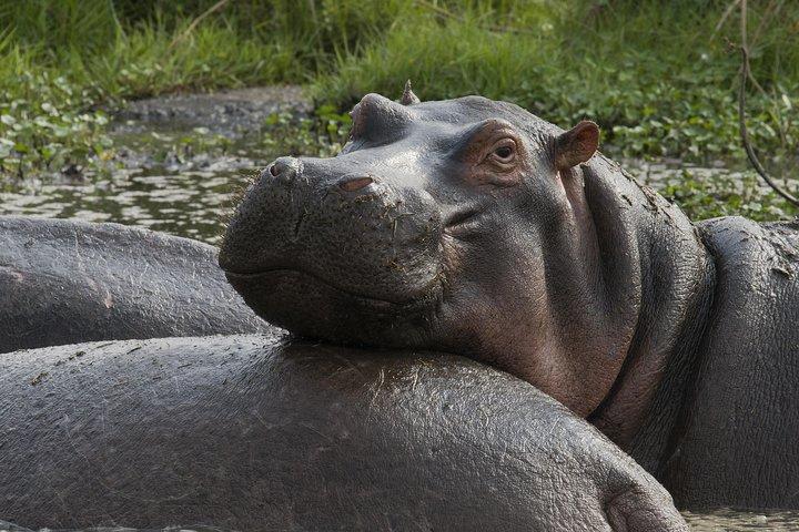 3 Days Amazing Tanzania Safari