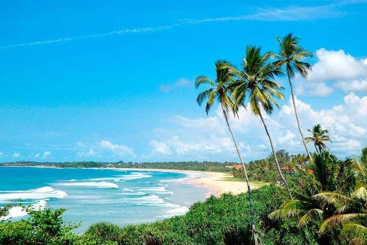 Airport (CMB) To Arugam Bay Hotels Transfer (Arrival)