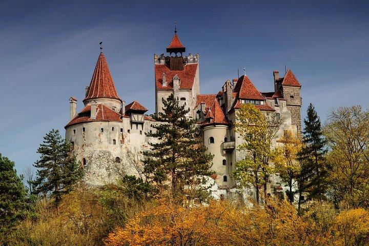 Bear Sanctuary, Bran (Dracula) Castle, Peles Castle From Brasov