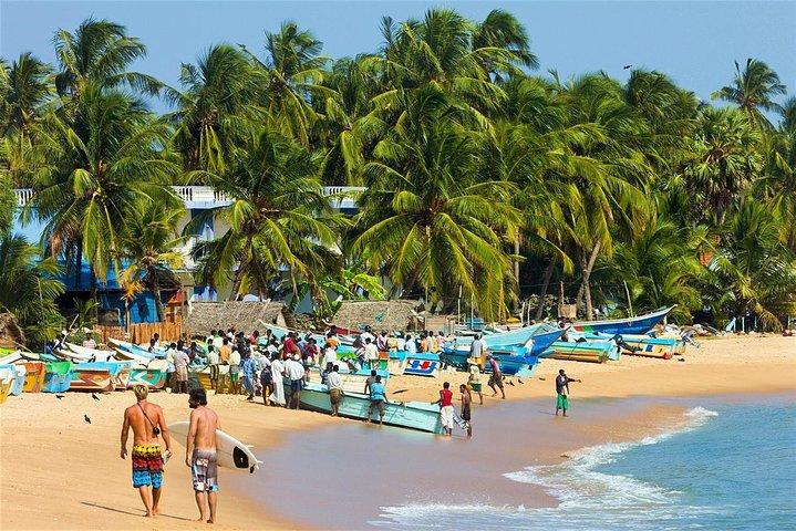 Airport (CMB) To Arugam Bay Hotels Transfer (Arrival)