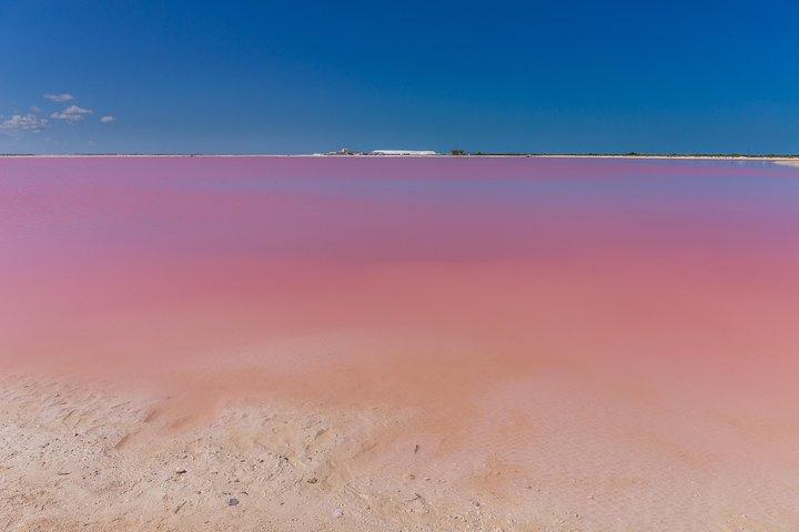 Private Chichen Itza, Cenote Ik Kil, Rio Lagartos & Las Coloradas
