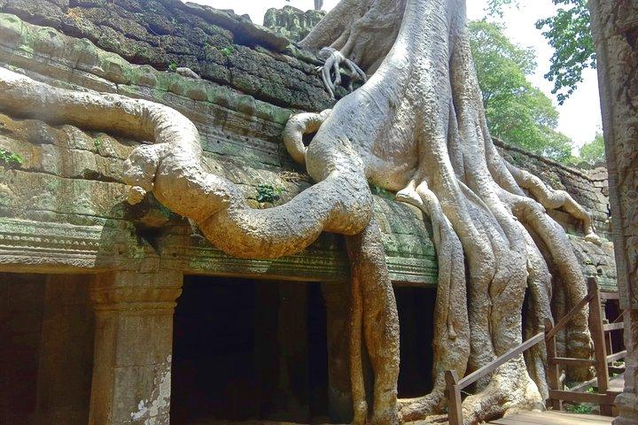 Full Day Temples of Angkor Complex+Sunset